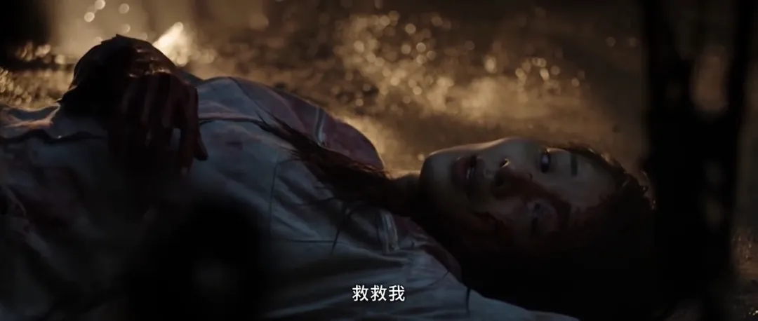 《下水井》（台译《索命人孔盖》）：杀人狂藏身地下管道，看完不敢踩井盖