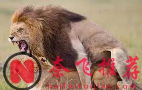 一部《为何是你？》体现了战斗民族片的尺度和深度！中年大叔勾搭小姑娘翻车的故事