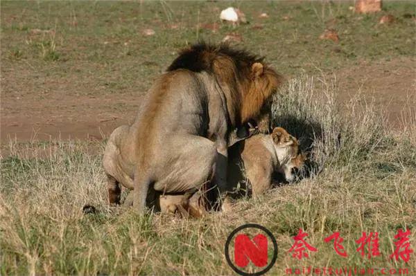 一部《为何是你？》体现了战斗民族片的尺度和深度！中年大叔勾搭小姑娘翻车的故事