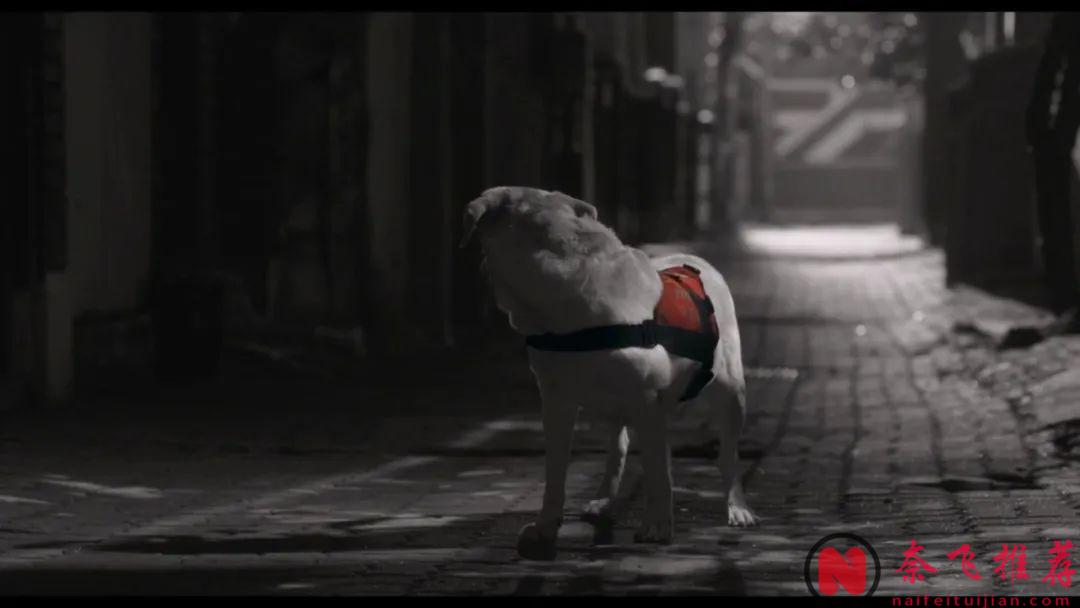 继《Moving异能》之后，姜草又带来一部神作！《照明商店》结局封神！