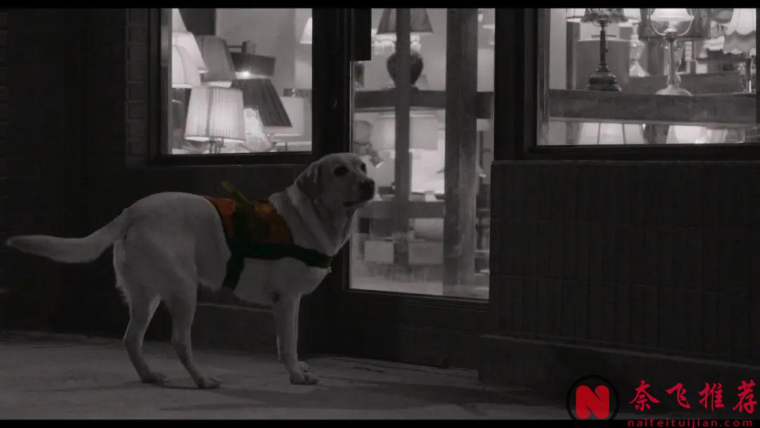 继《Moving异能》之后，姜草又带来一部神作！《照明商店》结局封神！