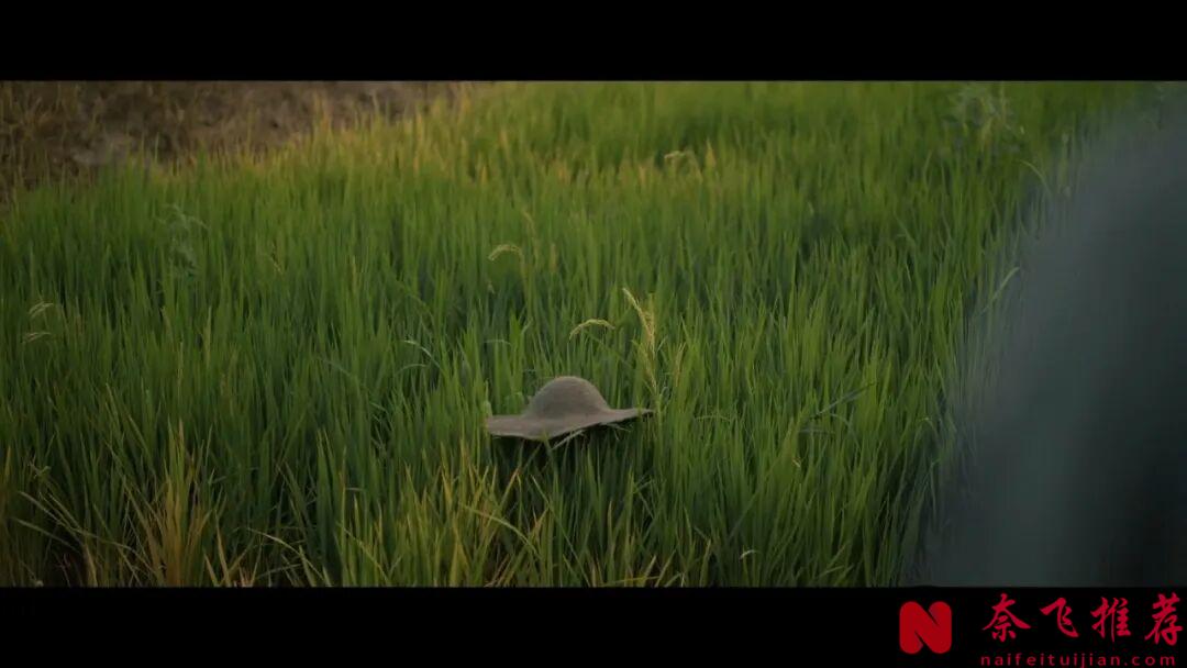 超生猛,这部最新悬疑韩剧《稻草人》,看得很过瘾!