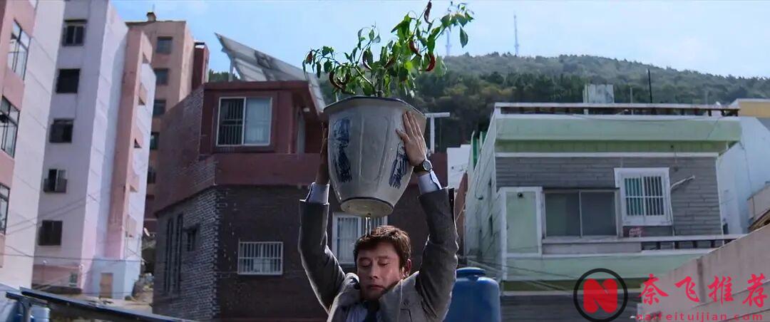 滚石公布2025年最佳20部电影!