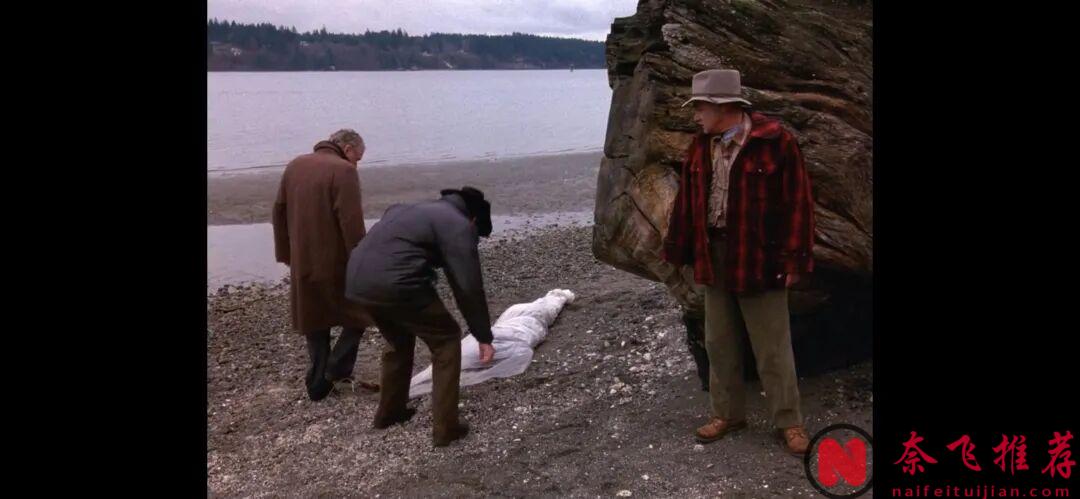 这部封神之作《双峰/双峰镇》,再也没有后续了!