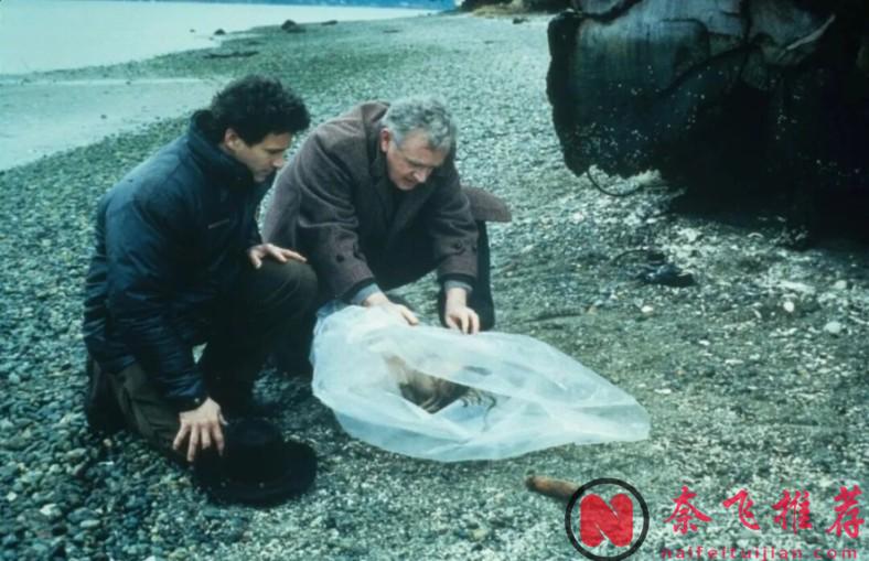 这部封神之作《双峰/双峰镇》,再也没有后续了!