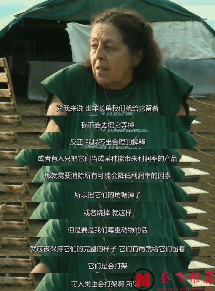 9.1分的法國紀錄片《臉龐,村莊/眼睛相旅行/最酷的旅伴》,可以算影史經典了吧!