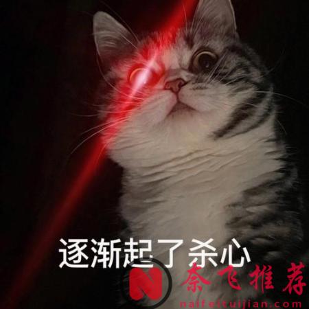海贼王1188话情报丨伊姆一招秒杀路飞!公然嘲笑路飞太过弱小!