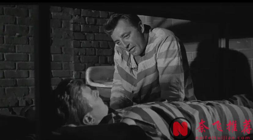 當年被嫌棄，現在卻成了恐怖美學的永恆經典，這部電影《獵人之夜》真牛！