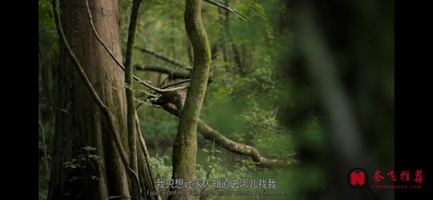 她的死被包裝成自殺,網飛新劇《牧師妻子之死》引爆全美熱議!