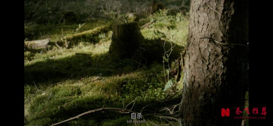 她的死被包裝成自殺,網飛新劇《牧師妻子之死》引爆全美熱議!
