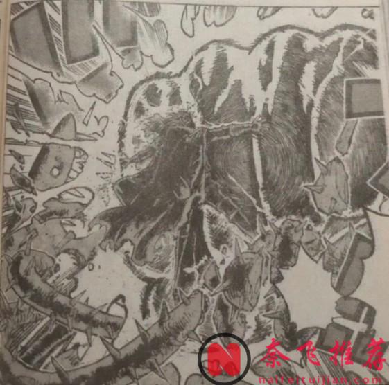 海贼王1175话4张情报图公开!下周将公开世界级活动企划