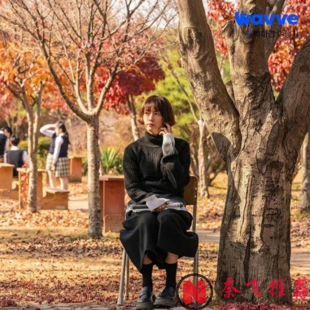 10部「慢節奏治癒」韓劇，錯過太可惜