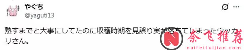 西索“惨遭”猎人粉丝热议:虽然设定上是个变态,但是似乎没有坑过主角团!?