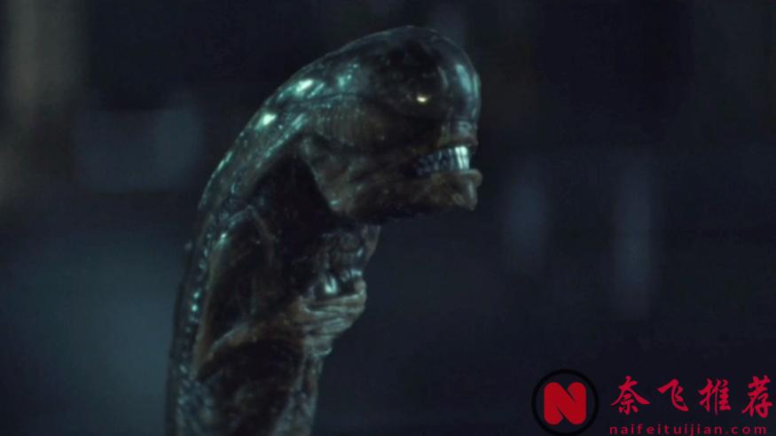 異形蛻變之謎，生命週期8大形態全揭秘