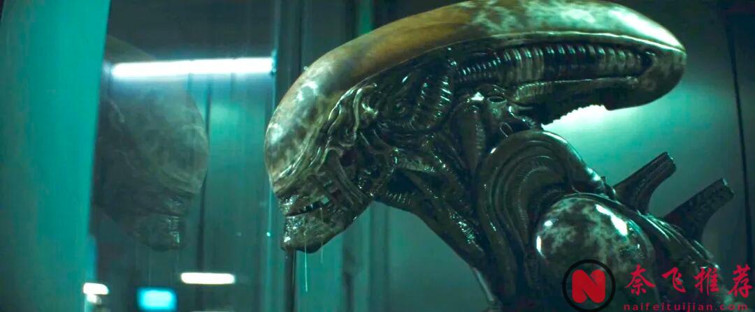異形蛻變之謎，生命週期8大形態全揭秘