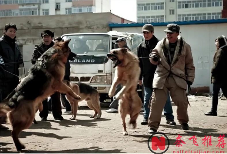 敢拍到封禁!《看见恶魔/看见魔鬼》领衔,韩国 5 部犯罪神作,尺度大胆到后劲窒息