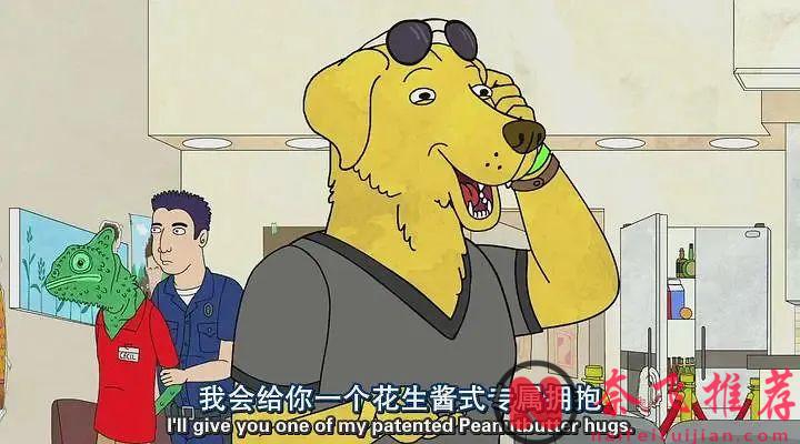 这部奈飞高分动画剧《马男波杰克》是最好看的美番之一，一个看似荒诞的世界里，动物和人类和平共处，却把一匹马遗忘了~