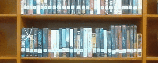 海贼王1178话情报①丨伊姆对路飞和洛基使用黑转失败!?准备离开圣地切大号上场