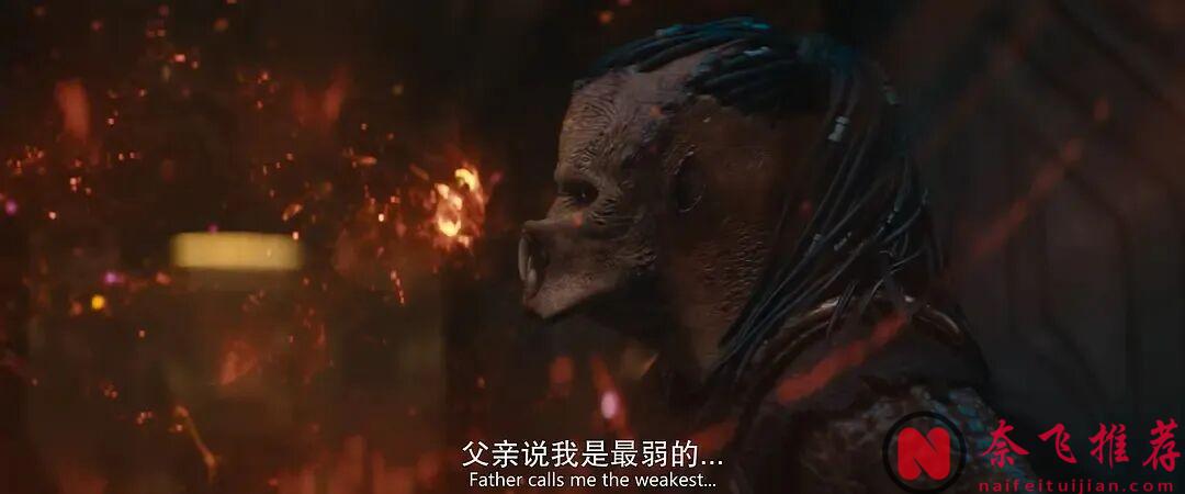 在鐵血戰士的世界裏,榮耀只來自兩件事:狩獵和勝利!