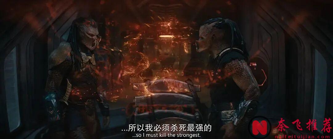 在鐵血戰士的世界裏,榮耀只來自兩件事:狩獵和勝利!