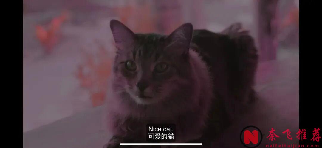 鬼才導演達倫最新犯罪驚悚片《偷天盜日/斷正瘋捕》，全程緊張刺激！