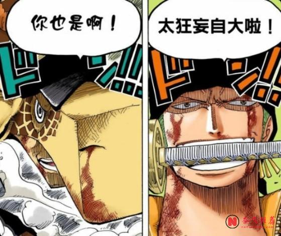 索隆是劍,山治是盾?!海賊王1196話揭開王之雙翼的真正含義!