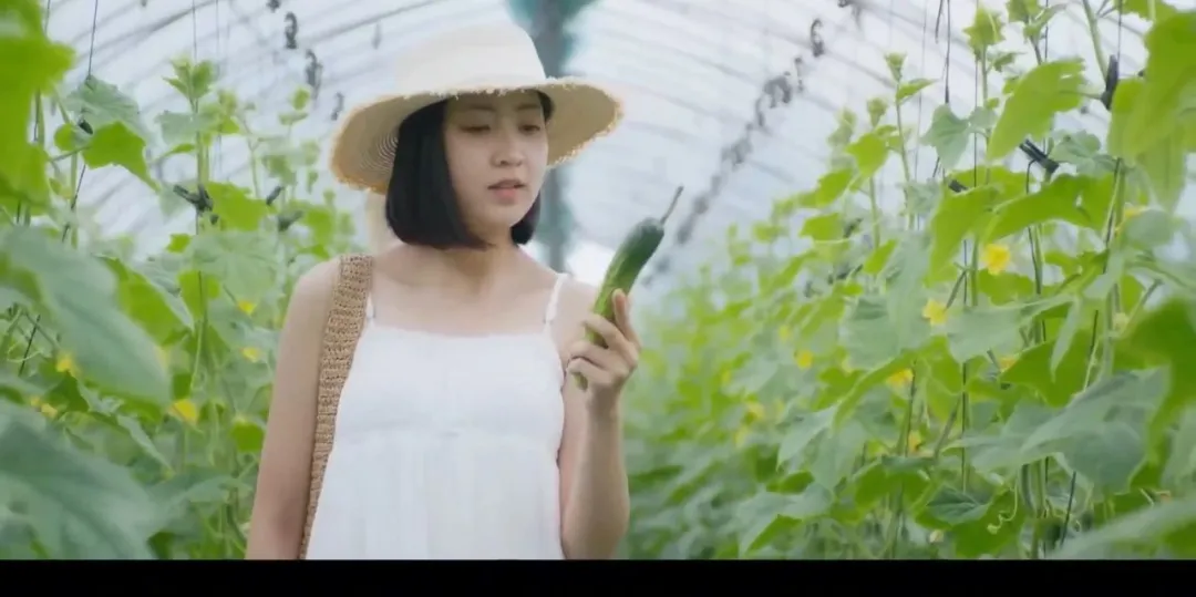 韓國雙女主電影《乾脆殺了他算了》,女神破格出演,看得很過癮