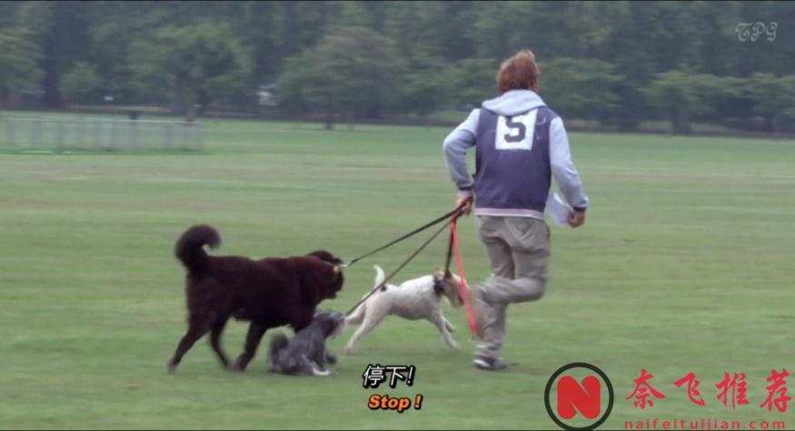 最神经“女公主”,全程“偷拍”完成的电影《憨憨公主的心思/巴黎必娶女王》!