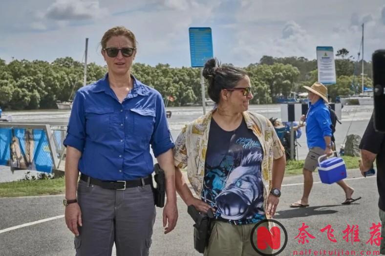 一只鳄鱼,嘴里叼着一只手,画面定格!这部9分犯罪神剧《戴洛奇小镇/戴洛克小镇》第二季终于回归!