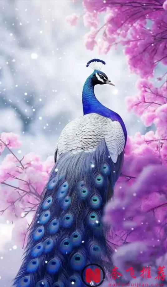 尾田這一伏筆太離譜了!薇薇第一次登場時,就已經暗示她是雨之神繼承者