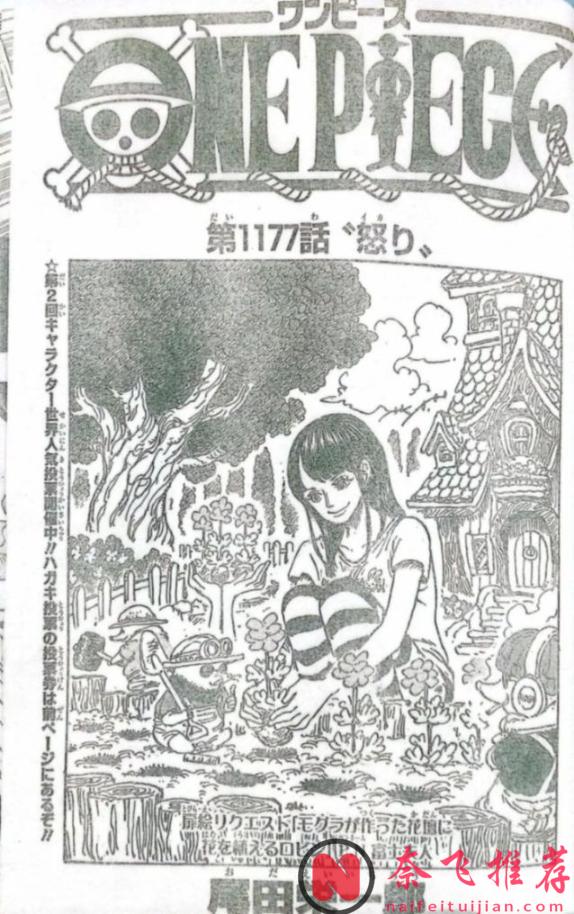 海贼王1177话全图解说丨路飞、洛基与伊姆对峙!索隆新招秒杀恶魔巨人