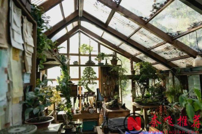 韩国高分犯罪电影《无可奈何/选择有罪/征人启弑》，烂番茄100%，朴赞郁再度封神！