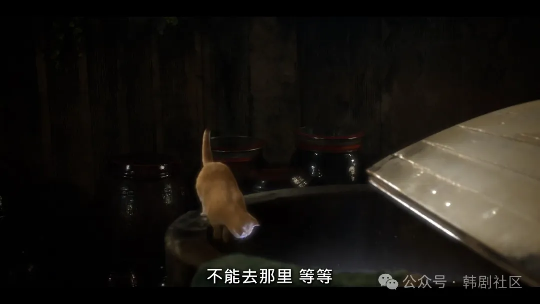 年齡隨便切換，Netflix奇幻韓劇《她的日與夜/日夜不同的她》，又癲又瘋！