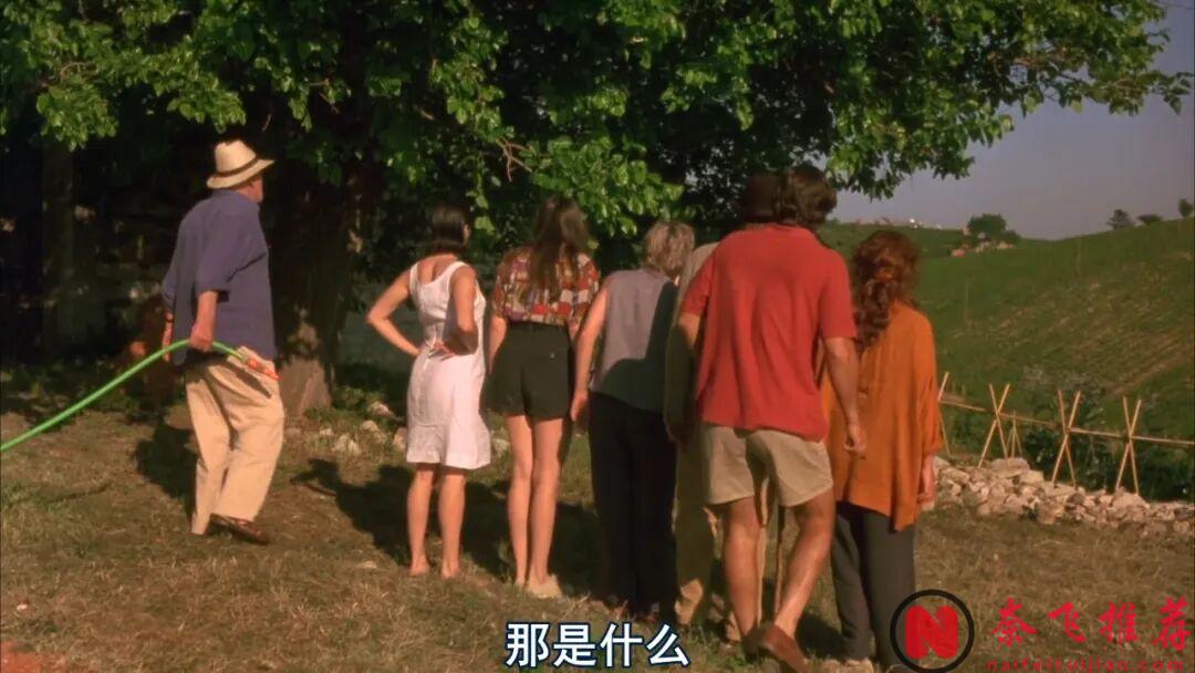 比较敢爱的一部电影《盗美人/偷香》,青春勇敢又无畏,拍得很真实