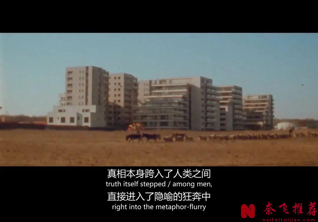 這部近年來柏林電影節尺度最大的電影,名字全是敏感詞!