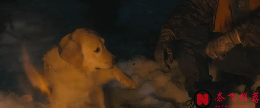 第一集就够上头,Apple TV+这部「空难+囚犯转运」题材新剧《失序边缘/冰封边狱》太过瘾了