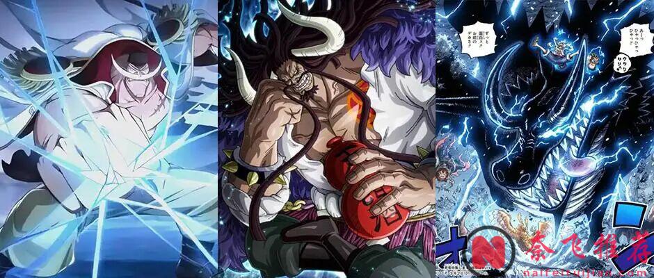 最大的龍 vs 最強生物!盤點《海賊王》中的五大“世界之最”!