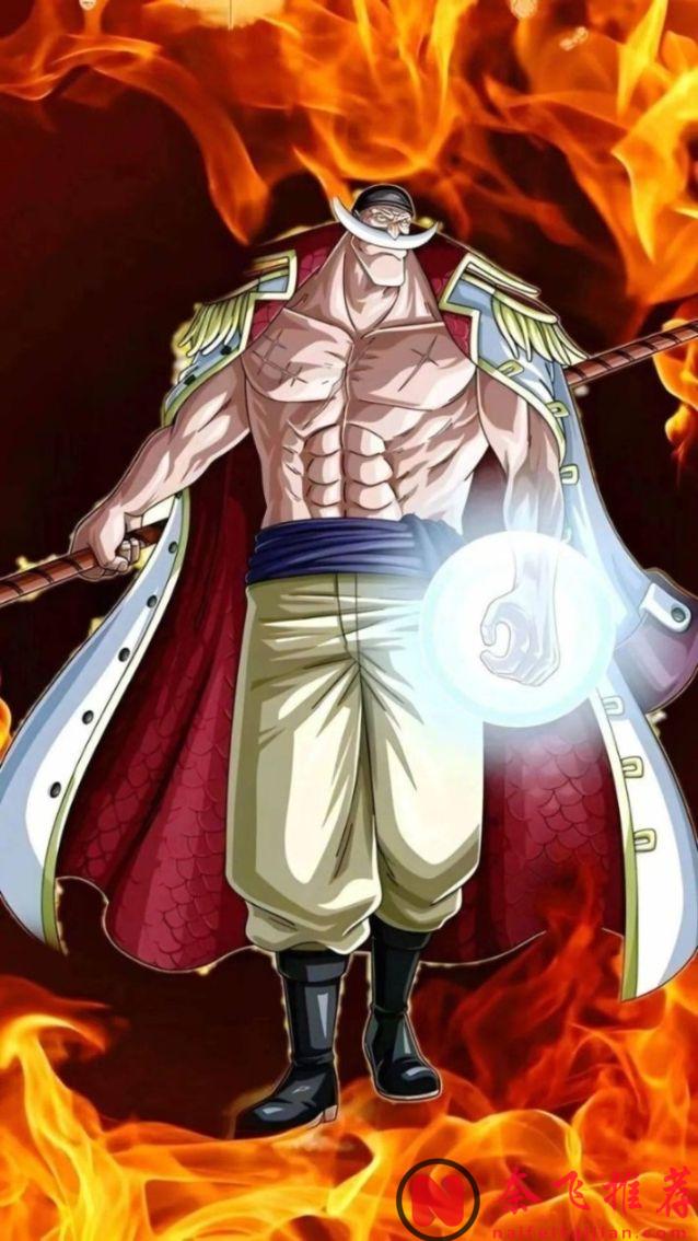 最大的龍 vs 最強生物!盤點《海賊王》中的五大“世界之最”!