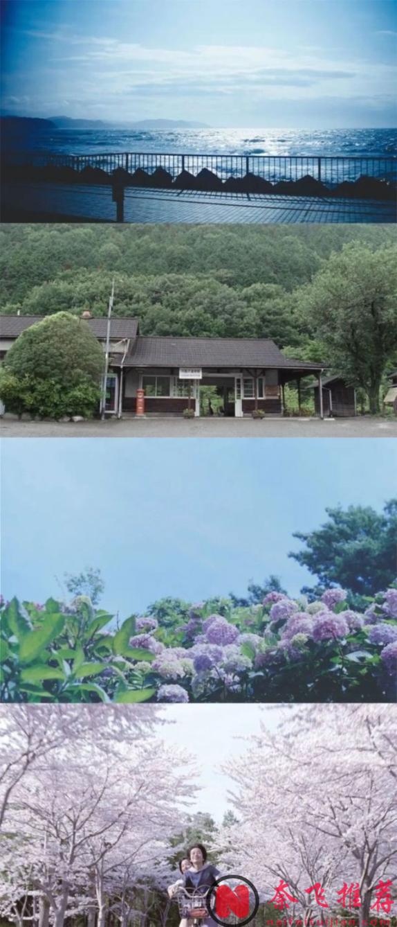 綾瀨遙、長澤雅美神仙同框!這部日式超高分影片《海街日記/海街女孩日記》看哭好多人