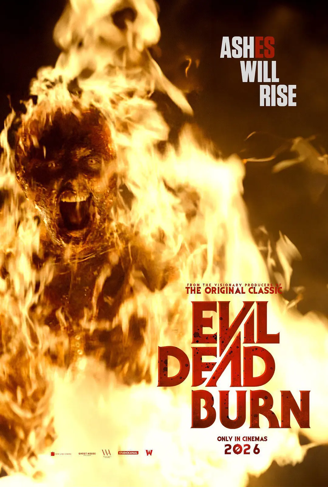 1768039489907031901.webp 2026年最期待恐怖片小盘点