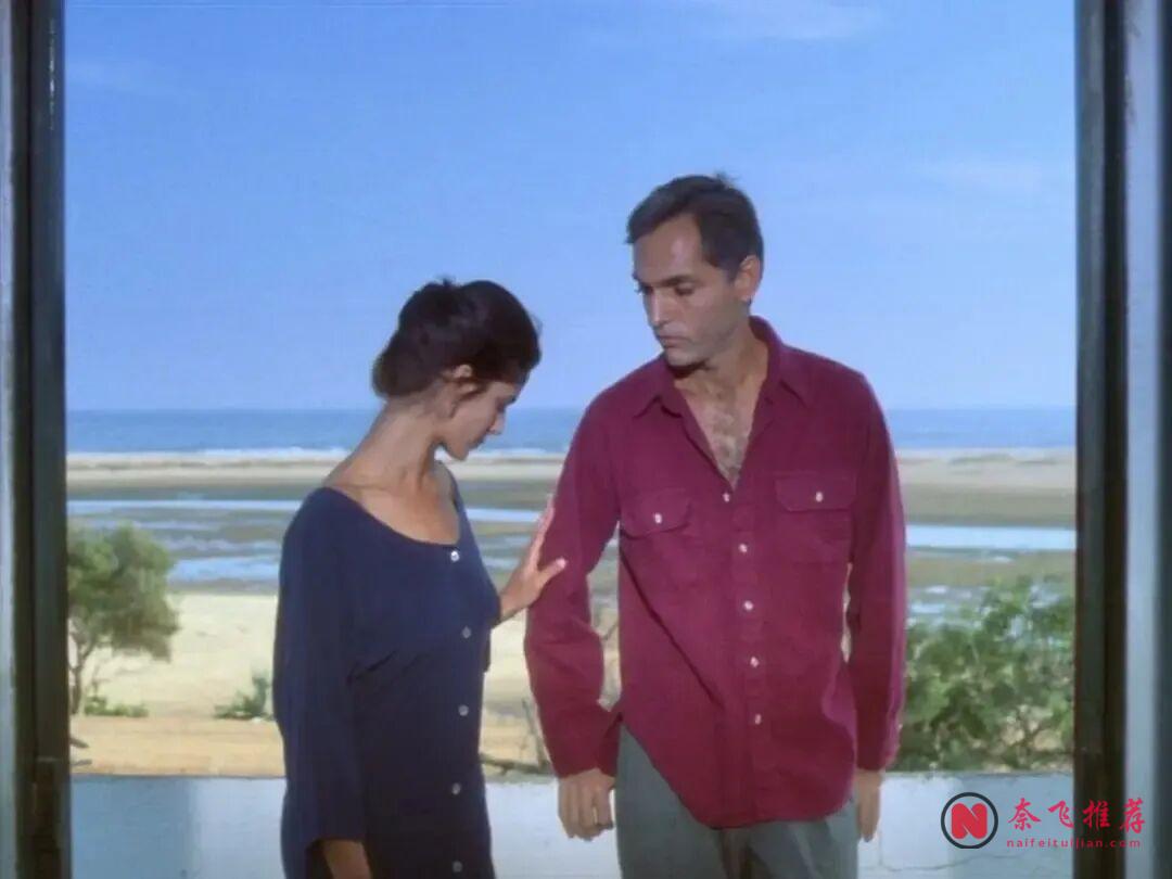 葡萄牙愛情片《海之花》:寡婦和逃犯,在盛夏海灘上發生了不該發生的事 !