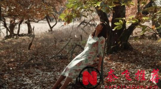 殿堂级艺术,丰碑式高度,进度条拉坏的作品《记忆的静物》!