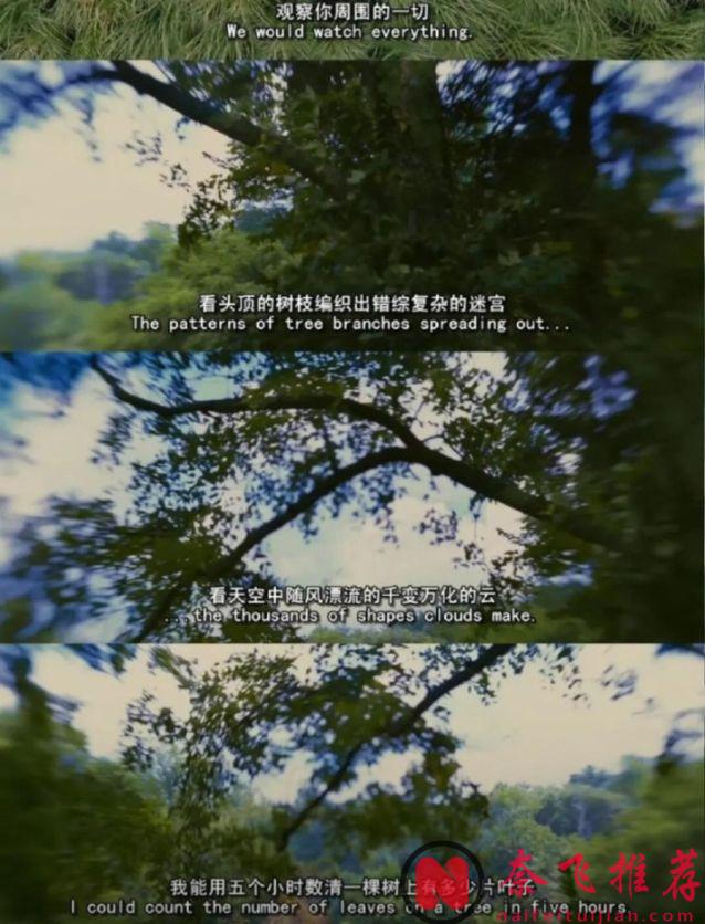 讓人後背發涼的驚悚片：《斯托克/私房嚇/欲謀》：18歲的成年禮儀上，她用一場謀殺來祭奠！