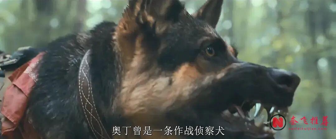 烂番茄91%,美国最新冒险片《野兽之心/狂野雄心》打破了荒野求生片的结局定律!