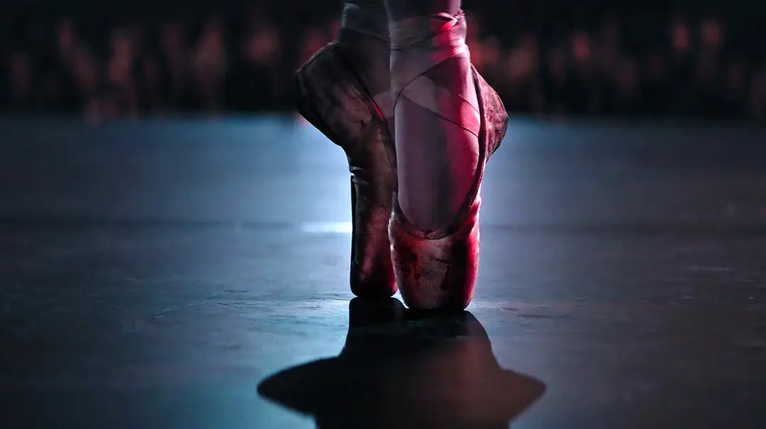 1774685853962077753.webp 爆米花B级惊悚爽片《索命舞娘/舞夜杀机》来了