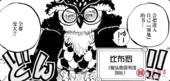 海贼王1191话情报补充丨猫头鹰爆料重要情报震惊乔巴!海尔丁打伊姆这合理吗?