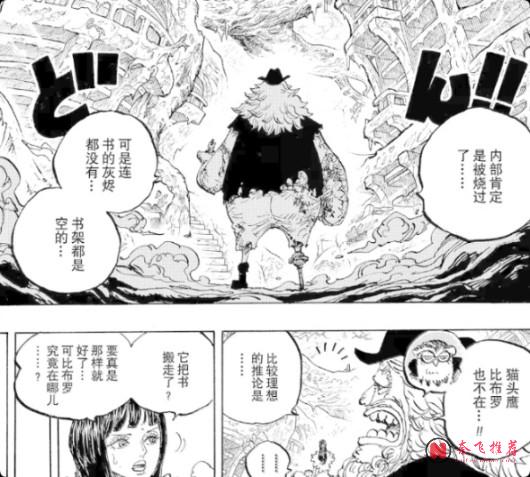 海贼王1191话情报补充丨猫头鹰爆料重要情报震惊乔巴!海尔丁打伊姆这合理吗?
