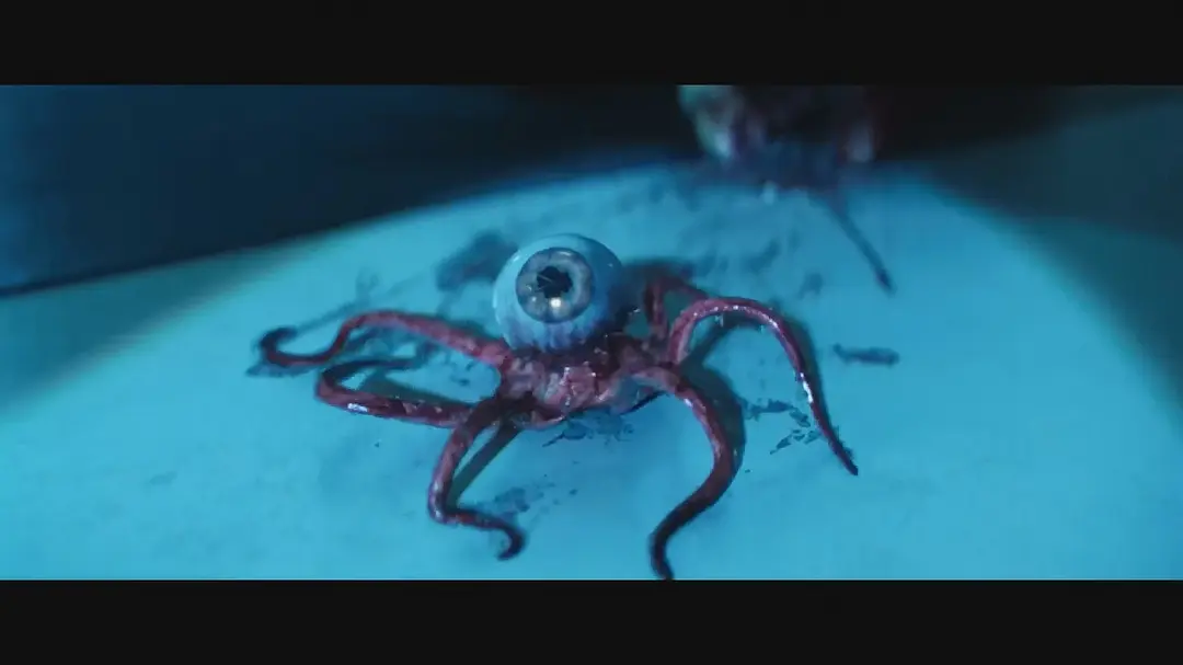 近期上映的5部新片，每一部都很精彩。