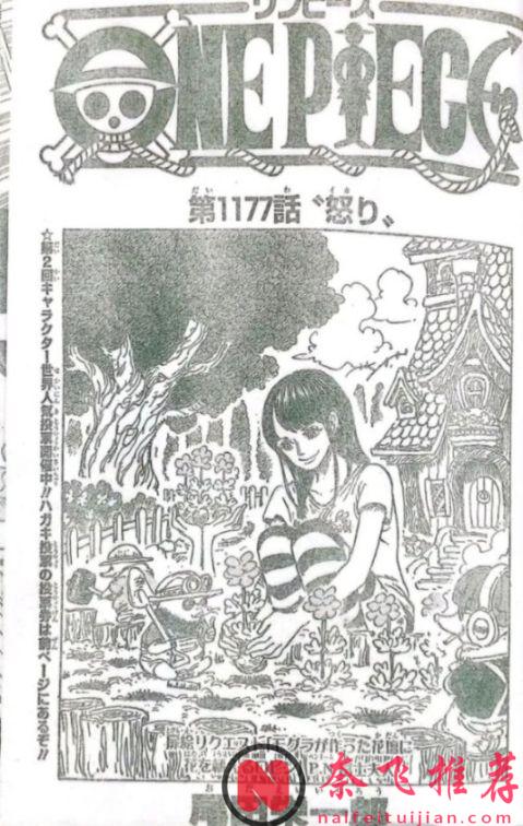 海贼王1177话完整版:伊姆大人展示实力,乌索普和布鲁克被秒杀