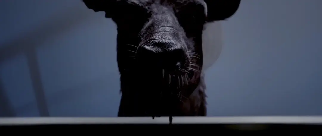 这部新上映的恐怖片《小鹿斑比:清算/杀鹿斑比》被誉为童年阴影制造机,血腥复仇的暗黑狂想